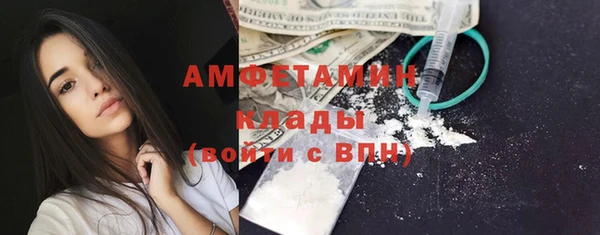 прущие грибы Абаза