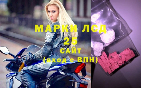 прущие грибы Абаза