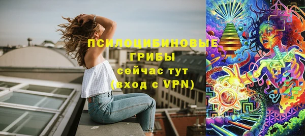 мет Алексин