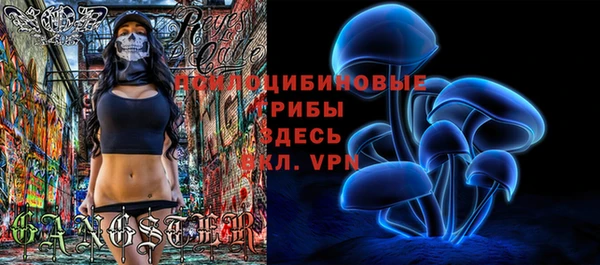 сатива Алексеевка