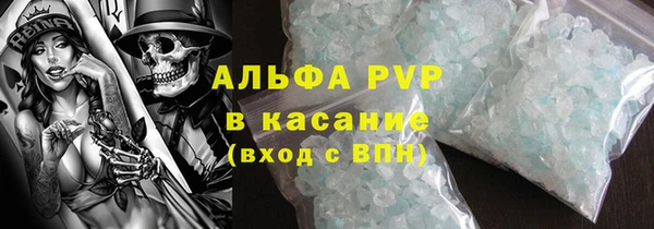 прущие грибы Абаза