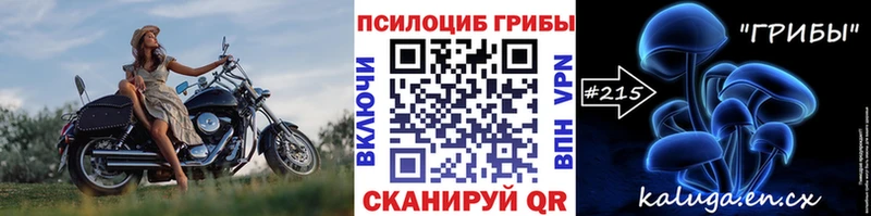 где найти   Нестеровская  Галлюциногенные грибы ЛСД 